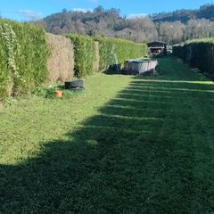 Residential Plot in N/a. Finca rústica en venta en  pravia, asturias