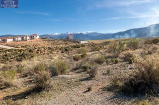 Residential Plot  Jacaranda. Venta de parcela urbana en otura zona santa clara golf