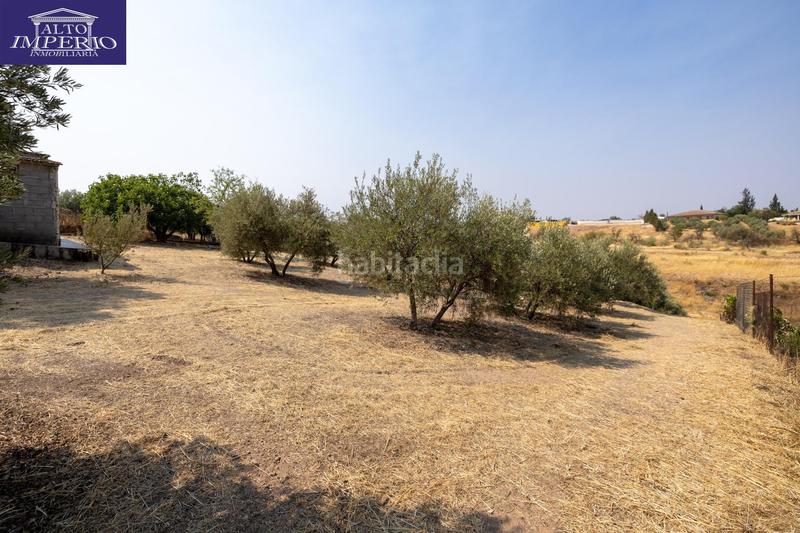 Foto 0d21f072-0fac-4ff2-bd44-b2a290050944. Masía encanto rústico con casita y olivos en moraleja de zafayona en Moraleda de Zafayona