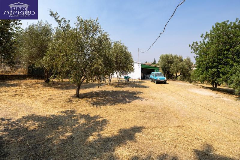 Foto 11512f4c-a6cf-49d2-af55-902d81d7b5c8. Masía encanto rústico con casita y olivos en moraleja de zafayona en Moraleda de Zafayona