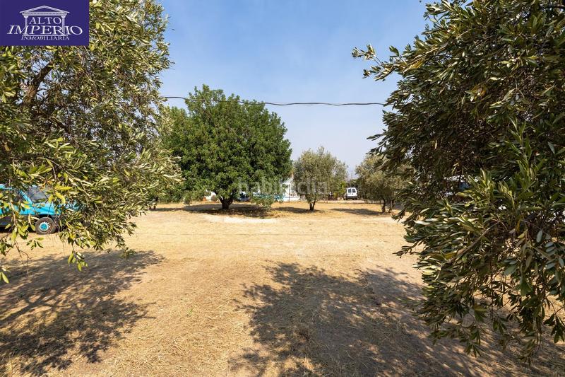 Foto 30113782-3269-464b-b6bf-3aeb4e633b25. Masía encanto rústico con casita y olivos en moraleja de zafayona en Moraleda de Zafayona