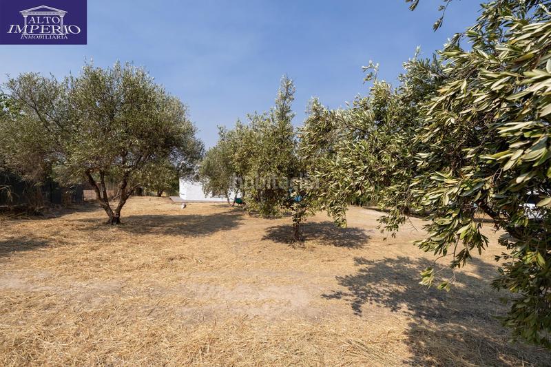 Foto 51ef6a8c-5bdb-49f0-a3c3-05ba979f0026. Masía encanto rústico con casita y olivos en moraleja de zafayona en Moraleda de Zafayona