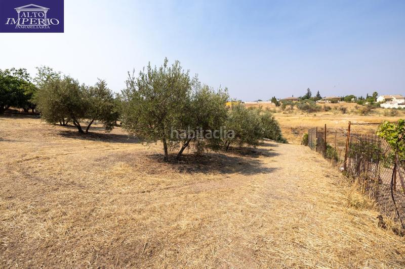 Foto 55a63472-11a5-418c-8c60-7cdda207cd66. Masía encanto rústico con casita y olivos en moraleja de zafayona en Moraleda de Zafayona