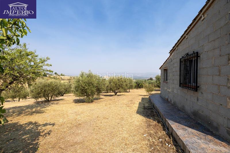 Foto 6d852096-e3aa-4999-9092-d429b6fd69e5. Masía encanto rústico con casita y olivos en moraleja de zafayona en Moraleda de Zafayona