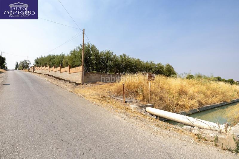 Foto 72fd41f3-2d2b-4537-b50f-253633ece617. Masía encanto rústico con casita y olivos en moraleja de zafayona en Moraleda de Zafayona