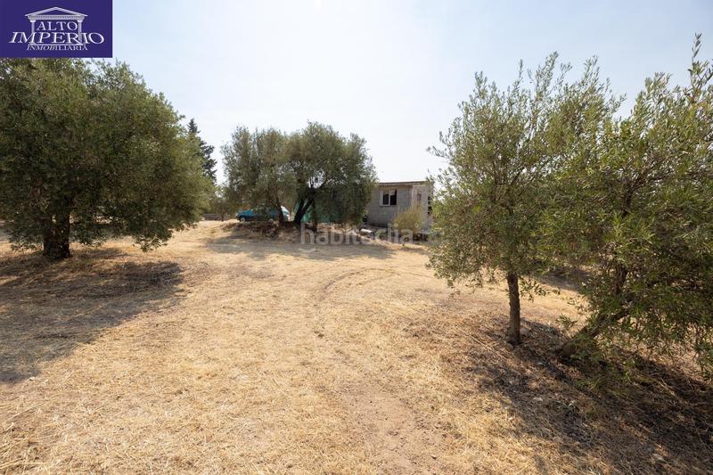 Foto 73771f19-fd53-4f47-9a5c-d14feba191c8. Masía encanto rústico con casita y olivos en moraleja de zafayona en Moraleda de Zafayona