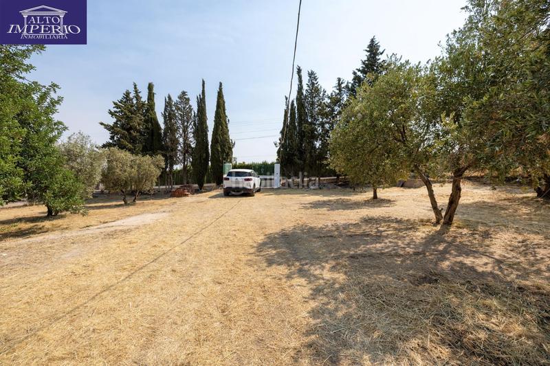 Foto 81c1b733-05fa-4385-9f04-77ca672d4c99. Masía encanto rústico con casita y olivos en moraleja de zafayona en Moraleda de Zafayona