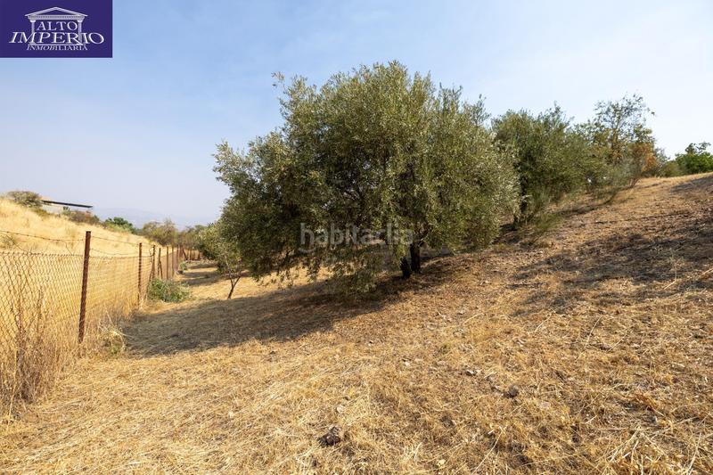 Foto b3844056-2d4e-468d-8d4a-05da36a8afce. Masía encanto rústico con casita y olivos en moraleja de zafayona en Moraleda de Zafayona