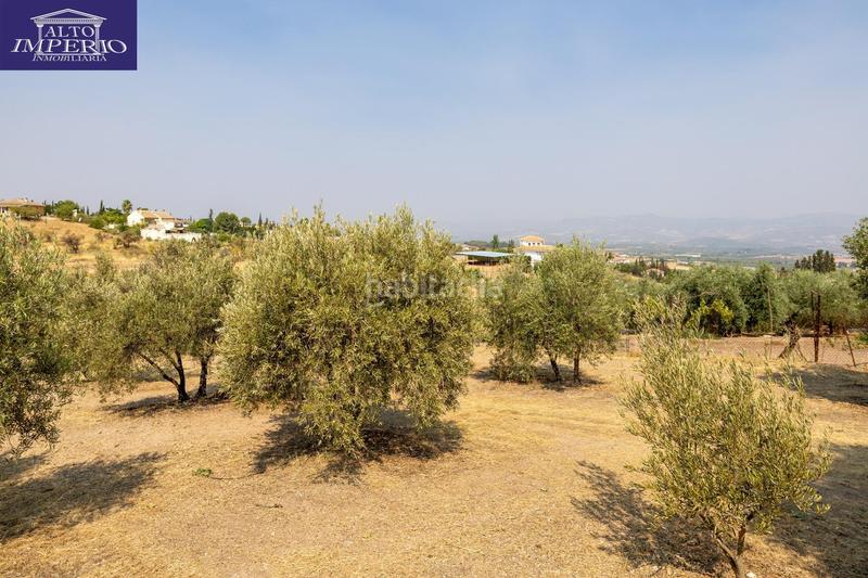 Foto bc4159ab-21b7-4fd9-8bfe-583faabd96de. Masía encanto rústico con casita y olivos en moraleja de zafayona en Moraleda de Zafayona