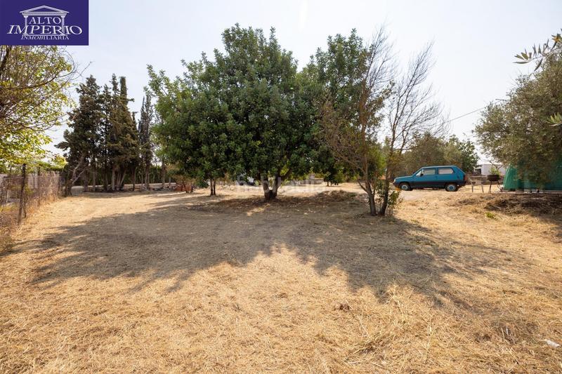 Foto c015e812-2349-4813-a60d-fd91c4aef0a8. Masía encanto rústico con casita y olivos en moraleja de zafayona en Moraleda de Zafayona