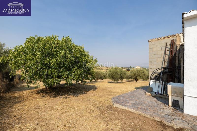 Foto ca980a34-253c-4822-9e59-aa9d9ccd4daa. Masía encanto rústico con casita y olivos en moraleja de zafayona en Moraleda de Zafayona