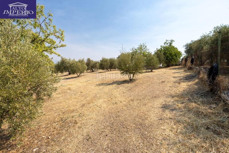 Foto d419f2f6-2bdb-438c-b935-1afbb8bc0a94. Masía encanto rústico con casita y olivos en moraleja de zafayona en Moraleda de Zafayona