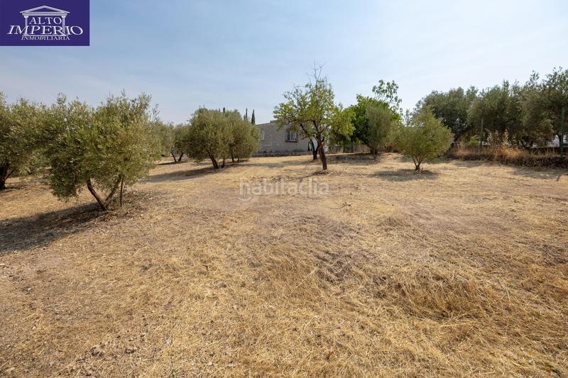 Foto e0e73da5-527f-4d28-8242-3da20813c7a0. Masía encanto rústico con casita y olivos en moraleja de zafayona en Moraleda de Zafayona