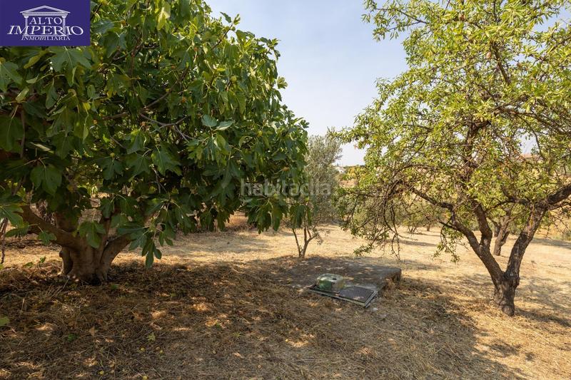 Foto e62bc885-cd11-4687-8c4e-a2c4df500e30. Masía encanto rústico con casita y olivos en moraleja de zafayona en Moraleda de Zafayona