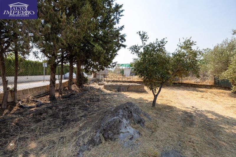 Foto f7721349-488b-40b0-a3bb-7005252fa42e. Masía encanto rústico con casita y olivos en moraleja de zafayona en Moraleda de Zafayona
