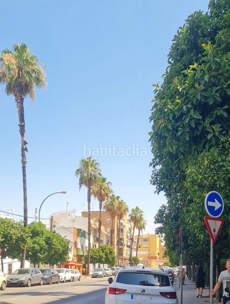 Foto f7eff81f-e2f8-476a-9d21-cd221ccfaee4. Local comercial a La Plata Sevilla