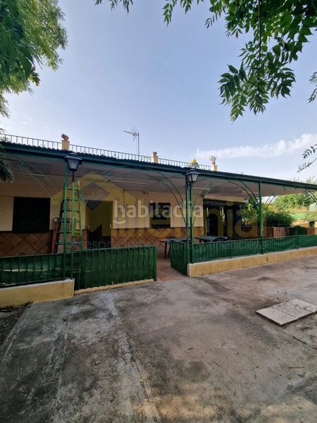 Foto 480da1df-08b5-44da-9c18-49513b8d0c01. Finca rústica a Carmona