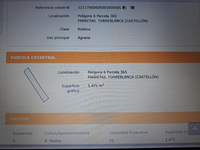 Foto 0e845f3c-e3a9-454a-8203-5e049e87bb17. Fondo rustico in Torreblanca