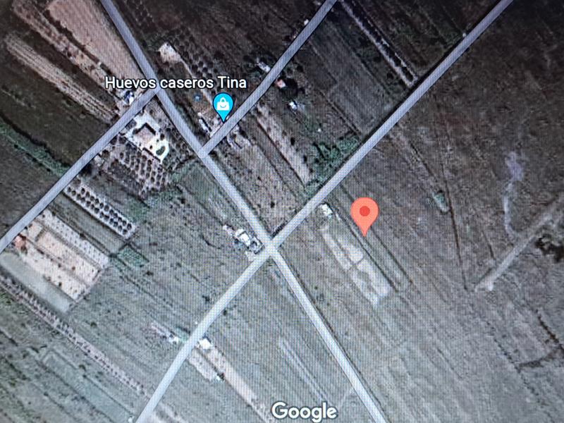 Foto c2b493fa-bfe9-4836-a767-d526ba167f71. Fondo rustico in Torreblanca