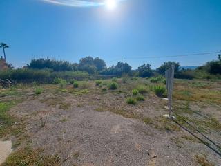 Finca rústica a Partida senillar p 24 8d. Terreno rustico en venta y alquiler con opcion a compra cerca de