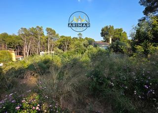 Terreny residencial a Carrer Rio Jabalon 104E