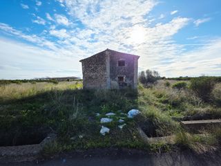 Finca rústica a Centro. Gran terreno rustico cerca del hospital de villareal