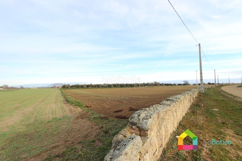 Foto c5d167d8-b31d-49e6-b09d-252f47ab64c1. Fondo rustico in Sonseca
