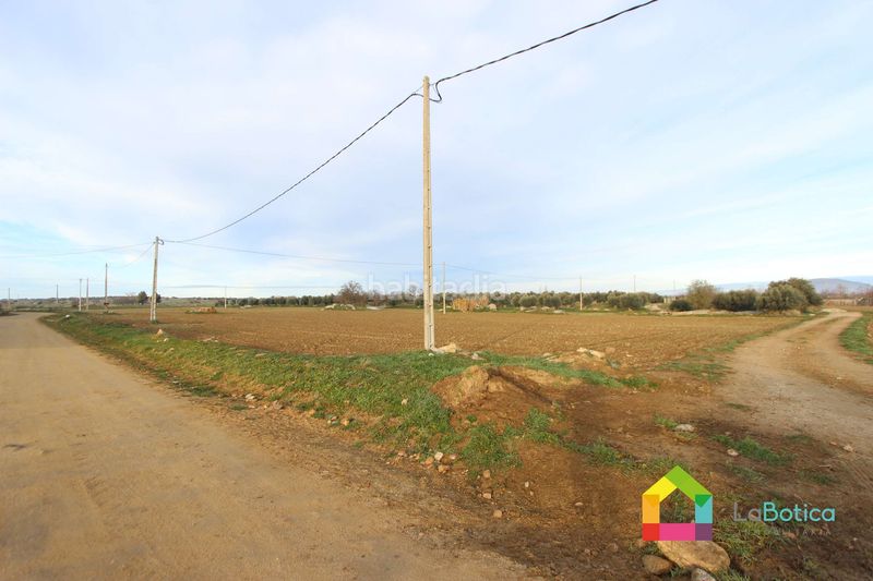 Foto cb0f5c37-3f40-455b-bfbc-64a346a35d9b. Fondo rustico in Sonseca