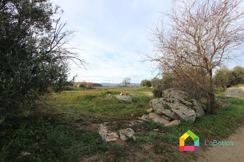 Foto f3a5674d-caa2-4a9d-9a58-d9f43b572fbf. Fondo rustico in Sonseca