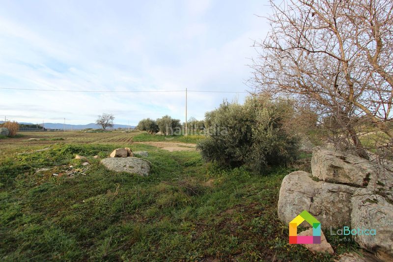 Foto f7a0828b-57fc-4d2f-a2e5-4b01d291d633. Fondo rustico in Sonseca