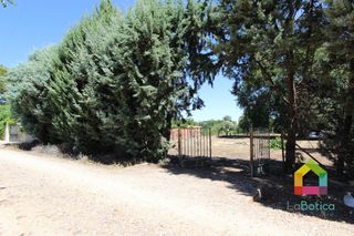 Casa a Villamiel de Toledo. Finca urbana con gran parcela y excelentes posibilidades de desa