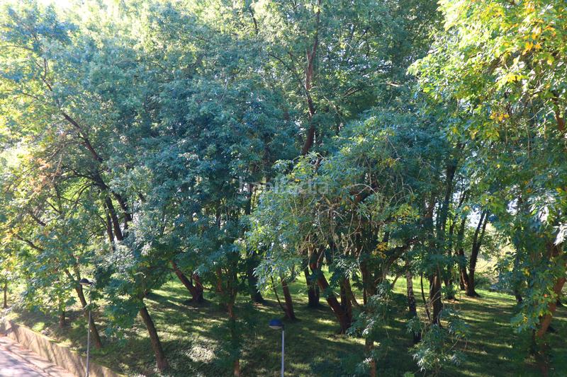 Foto 1ec1c126-e6cd-4ee6-a5a9-43a423ff4235. Pis a larratxo pasealekua 40 a Altza Donostia - San Sebastián