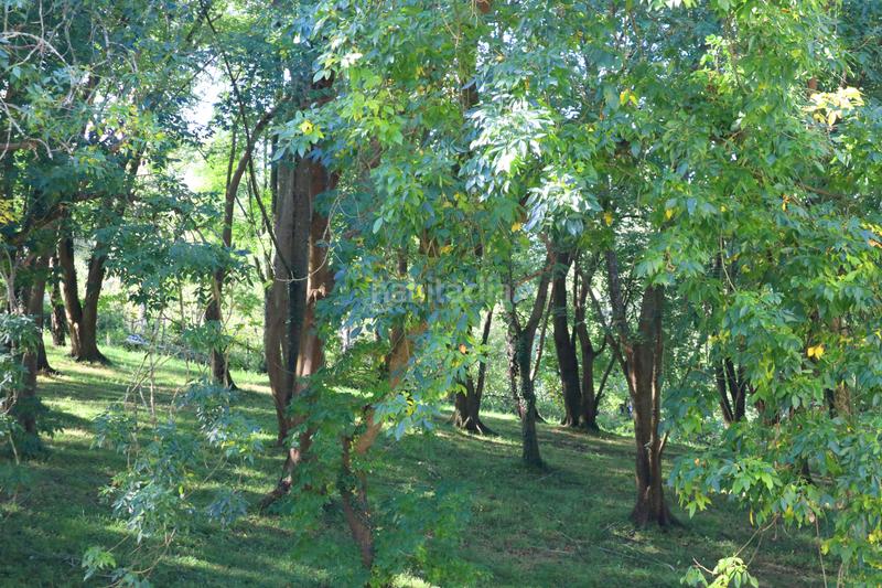 Foto 403fc60f-03c2-46e9-9b9f-cf6c1d1ecece. Pis a larratxo pasealekua 40 a Altza Donostia - San Sebastián