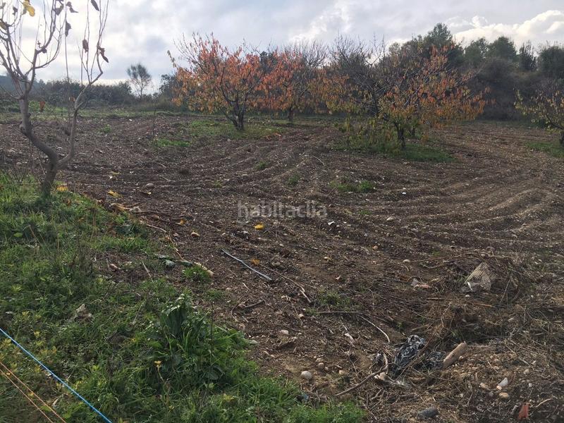 Foto 2f2b13f1-540d-4bd3-bfb5-aabb07d1624b. Finca rústica bona finca rustica en Ullastrell