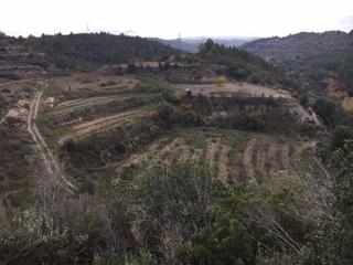 Finca rústica a Ullastrell. Bona finca rustica