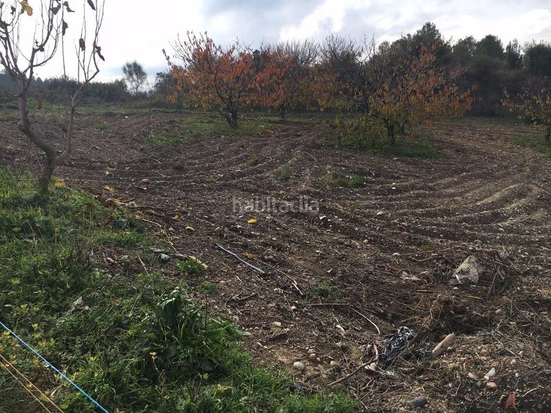 Foto f2246ad4-6926-4120-8283-ec8a656d9674. Finca rústica bona finca rustica en Ullastrell