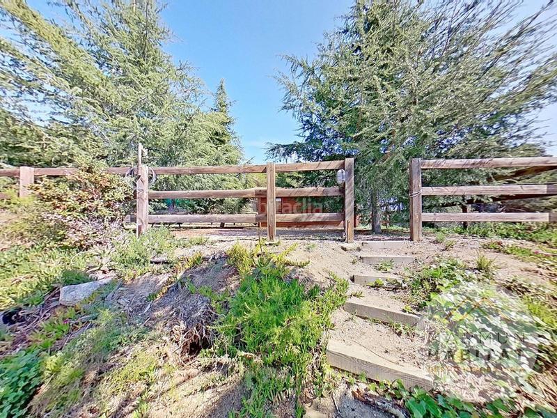 Foto 2b91c889-c589-4d16-a46f-feadbe31f4a9. Haus mit parking pool in Canet de Mar