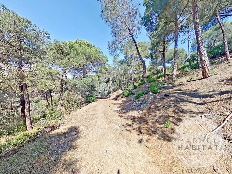 Foto b9f886c7-f18d-4bce-98ea-ec17155239e9. Haus mit parking pool in Canet de Mar