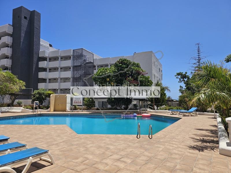 Foto 3ec09312-634a-4d68-83e1-2cd6cfd2dd79. Studiowohnung mit parking pool in La Caleta Adeje