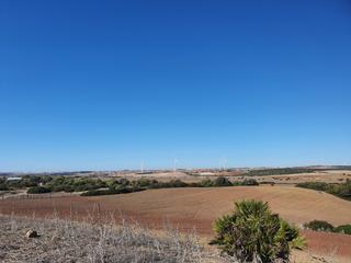 Fondo rustico in Pelagatos - Pago del Humo. Finca las campaneras