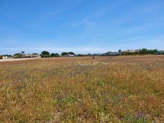 Residential Plot in Pelagatos - Pago del Humo. Parcela burrito