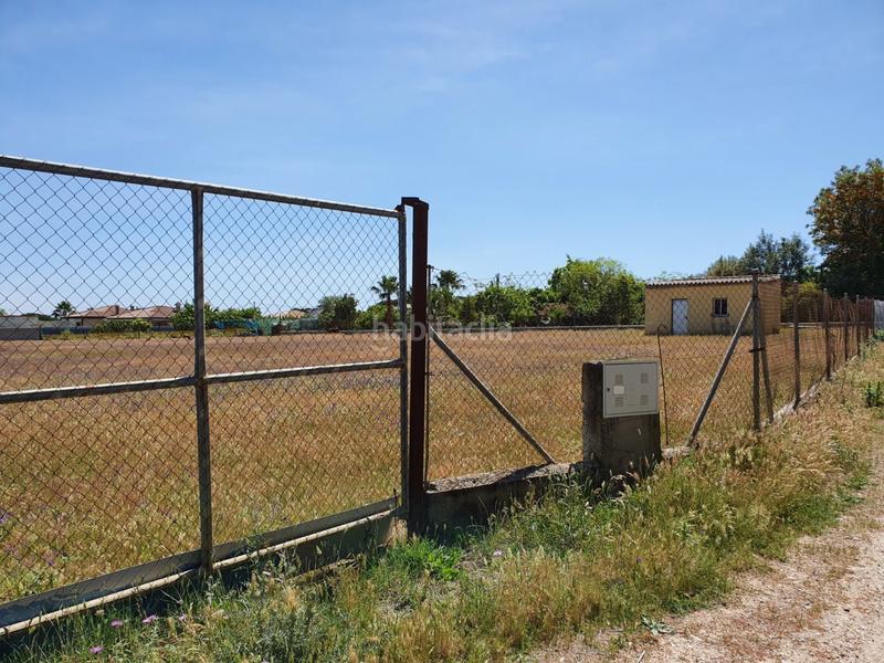 Foto ad0af7a1-5493-40f9-8fe8-3fb1907bac36. Terreny residencial a Pelagatos - Pago del Humo Chiclana de la Frontera