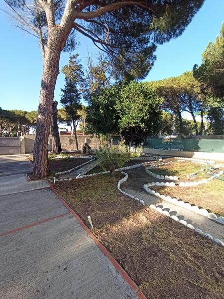 Foto 00d67f1e-9537-43d7-953e-185eee221bfe. Xalet amb piscina a Las Lagunas - Campano Chiclana de la Frontera