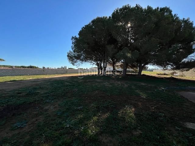 Foto 1206f797-2c80-45ca-aa08-e895a715a3cb. Xalet amb piscina a Las Lagunas - Campano Chiclana de la Frontera