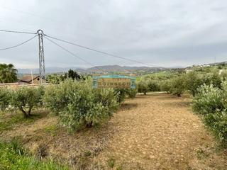 Finca rústica  Siete caras. Parcela en venta en centro