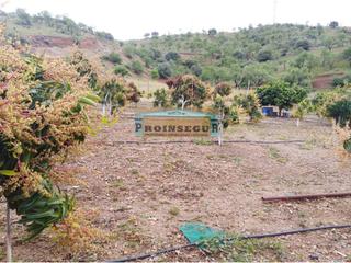 Masia  Carretera pizarra. Casa de campo en venta en pizarra
