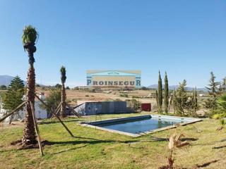 Finca rústica a Alora ( zona orientativa) 0. Finca rustica en venta en cártama