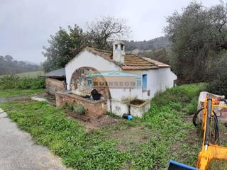 Terreny residencial  Andalucia. Finca rustica en venta en aceitunera