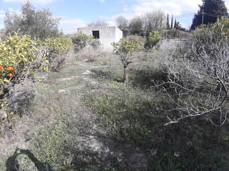 Foto 38495240-4bb9-497f-a641-96aff65a6ac8. Finca rústica a Centro Alhaurín el Grande