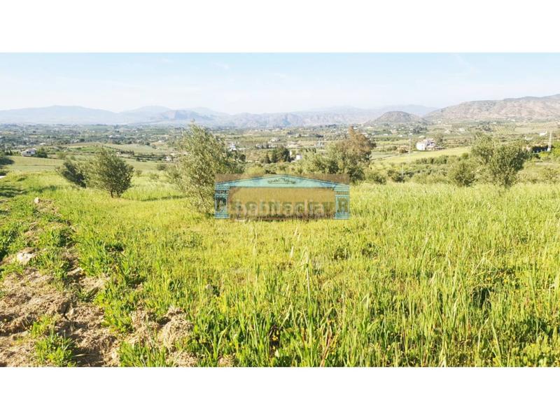 Foto 007c56e4-97d6-4317-bf1e-d9345e1b885c. Finca rústica a Centro Alhaurín el Grande